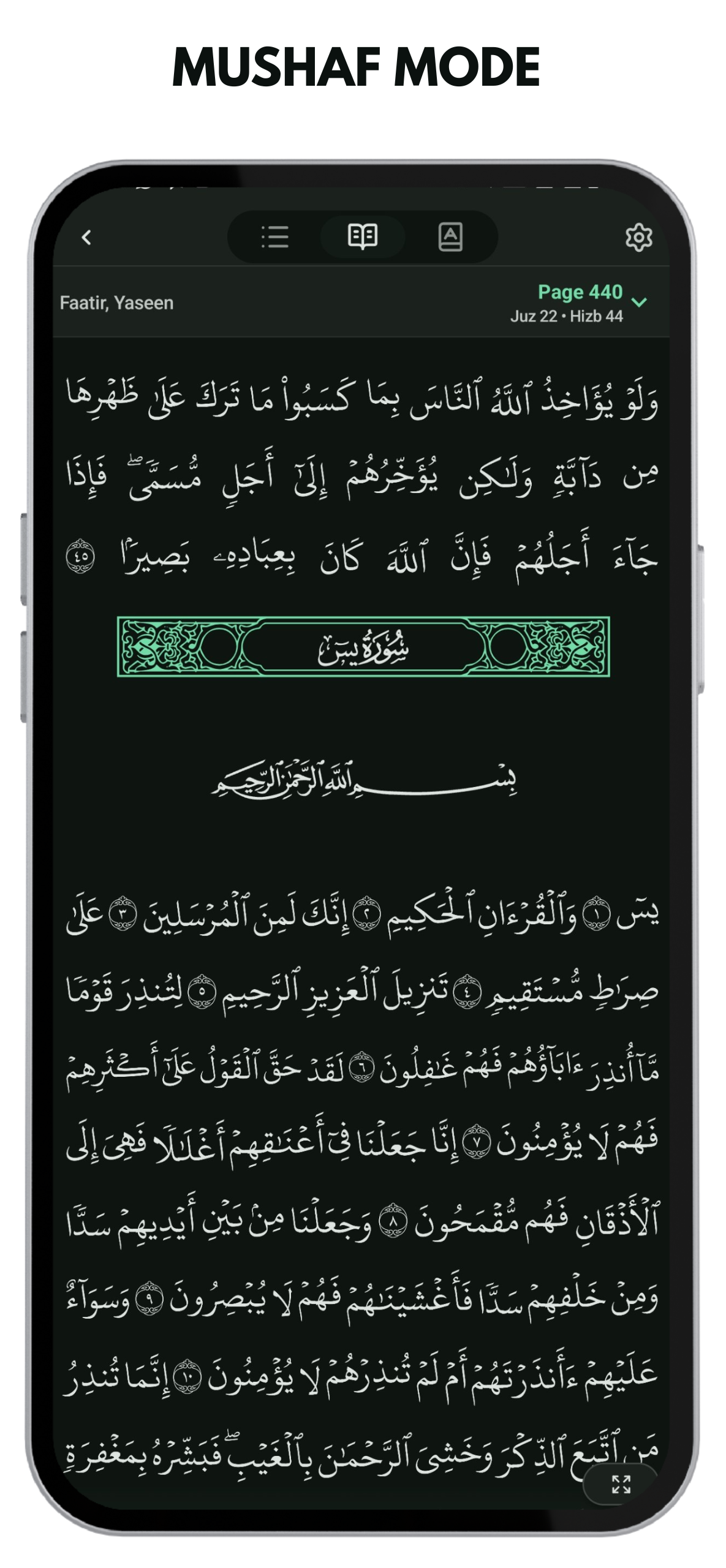 Quran Kareem Tafsir View